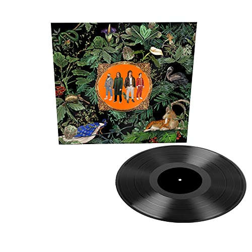 Don Broco vinyl record with band portrait amidst lush foliage.