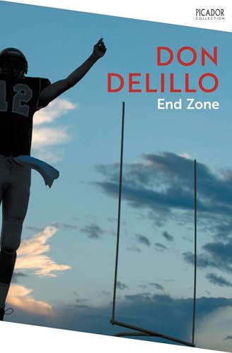 Book cover: football player with raised arm, goalposts, blue sky.