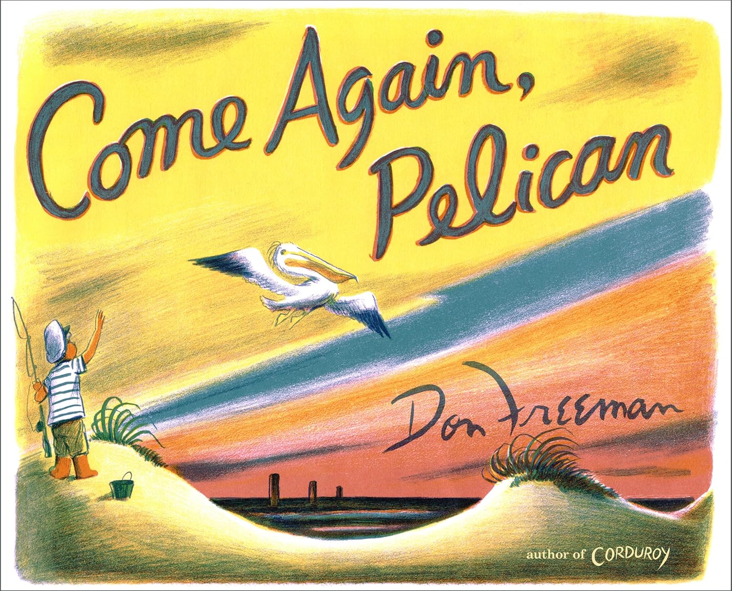 A boy with a fishing rod waves at a flying pelican at sunset.
