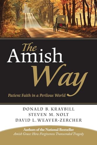 Book cover depicting a horse-drawn carriage on a country road.