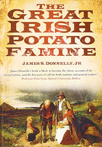 Book cover depicting Irish famine scene with people and thatched roofs.