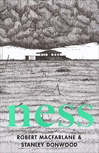 Book cover with sketched landscape, building, and teal title "Ness".