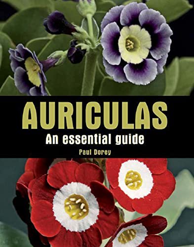 Book cover featuring purple and red auricula flowers, titled "Auriculas.
