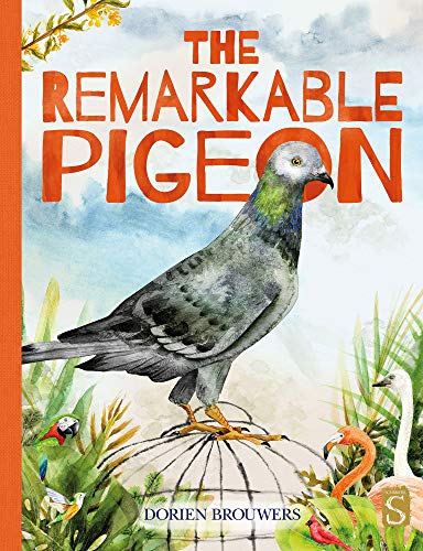 Book cover: watercolor painting of a pigeon with other birds and plants.