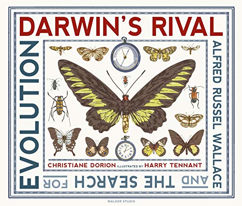 Book cover featuring butterflies, insects, and clocks around the title.