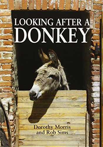 Book cover: donkey’s head peeking from a dark stable opening.