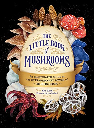 Book cover featuring illustrated mushrooms and mycelial networks in ornate detail.