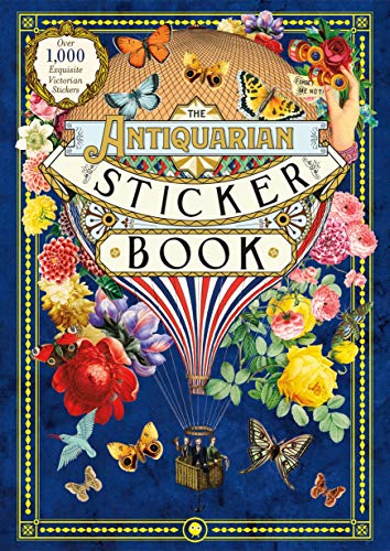 Book cover featuring a hot air balloon, Victorian-style flowers, and butterflies on blue background.