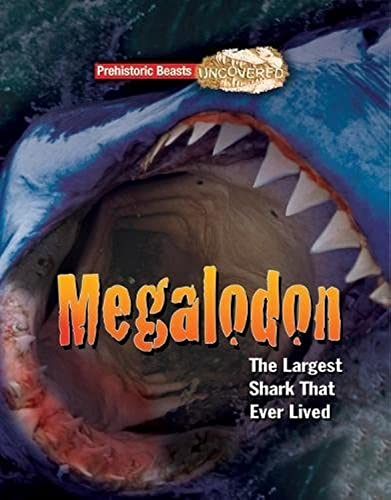 Book cover depicting a Megalodon shark’s open mouth with large teeth.