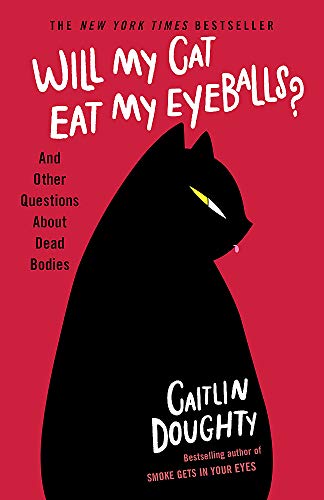 Book cover with a black cat silhouette and white, playful lettering.