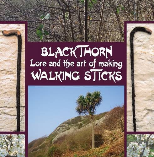 BookHobby book cover featuring blackthorn walking sticks and a landscape with a palm tree.