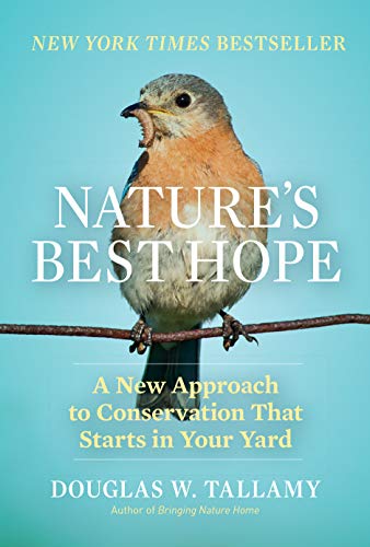 Book cover featuring an Eastern bluebird perched on a branch.