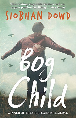Book cover: a young person with arms outstretched in a misty landscape.