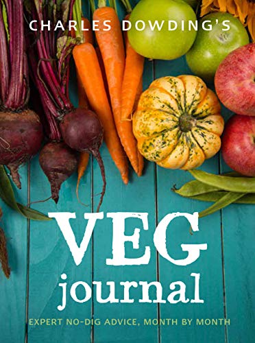 Book cover with colorful vegetables and the title "Veg Journal".