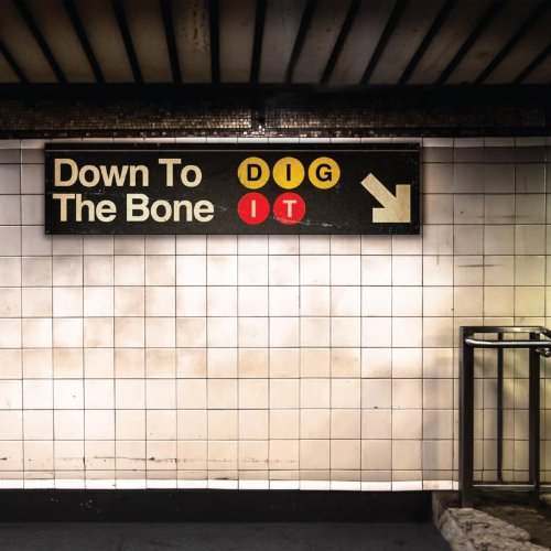 Album cover for “Down To The Bone - Dig It” resembling a subway sign.
