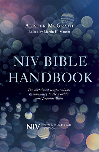Dark blue book cover with white text: "NIV BIBLE HANDBOOK" and bokeh lights.