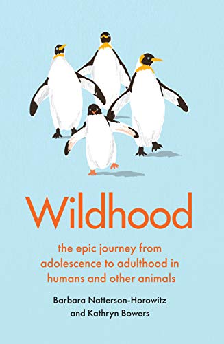 Book cover: cartoon penguins dancing with the title "Wildhood.