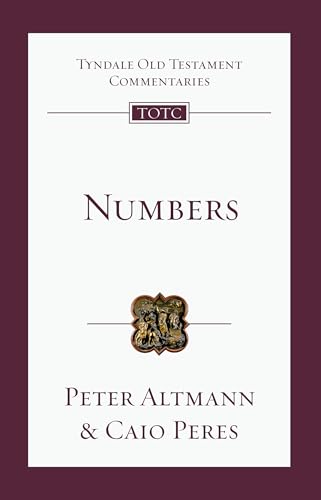 Book cover for "Numbers" with authors and series title.