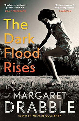 Book cover: woman running in a field, title “The Dark Flood Rises”.