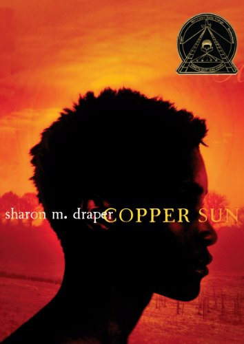 Book cover: Silhouette of a person against a fiery orange sunset.
