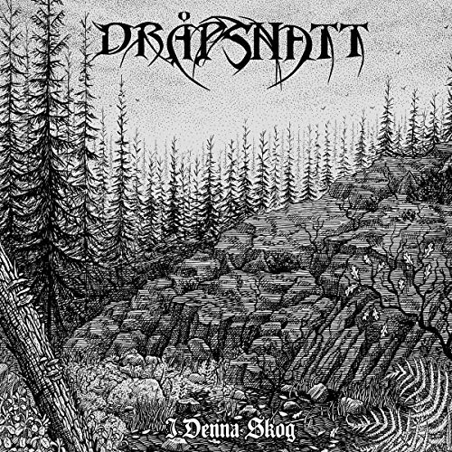 Black and white album cover depicting a dense, detailed forest scene.