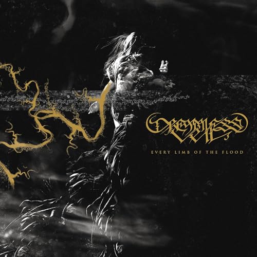 Dark album cover with distorted figure, gold accents, and band logo "Dreamless".