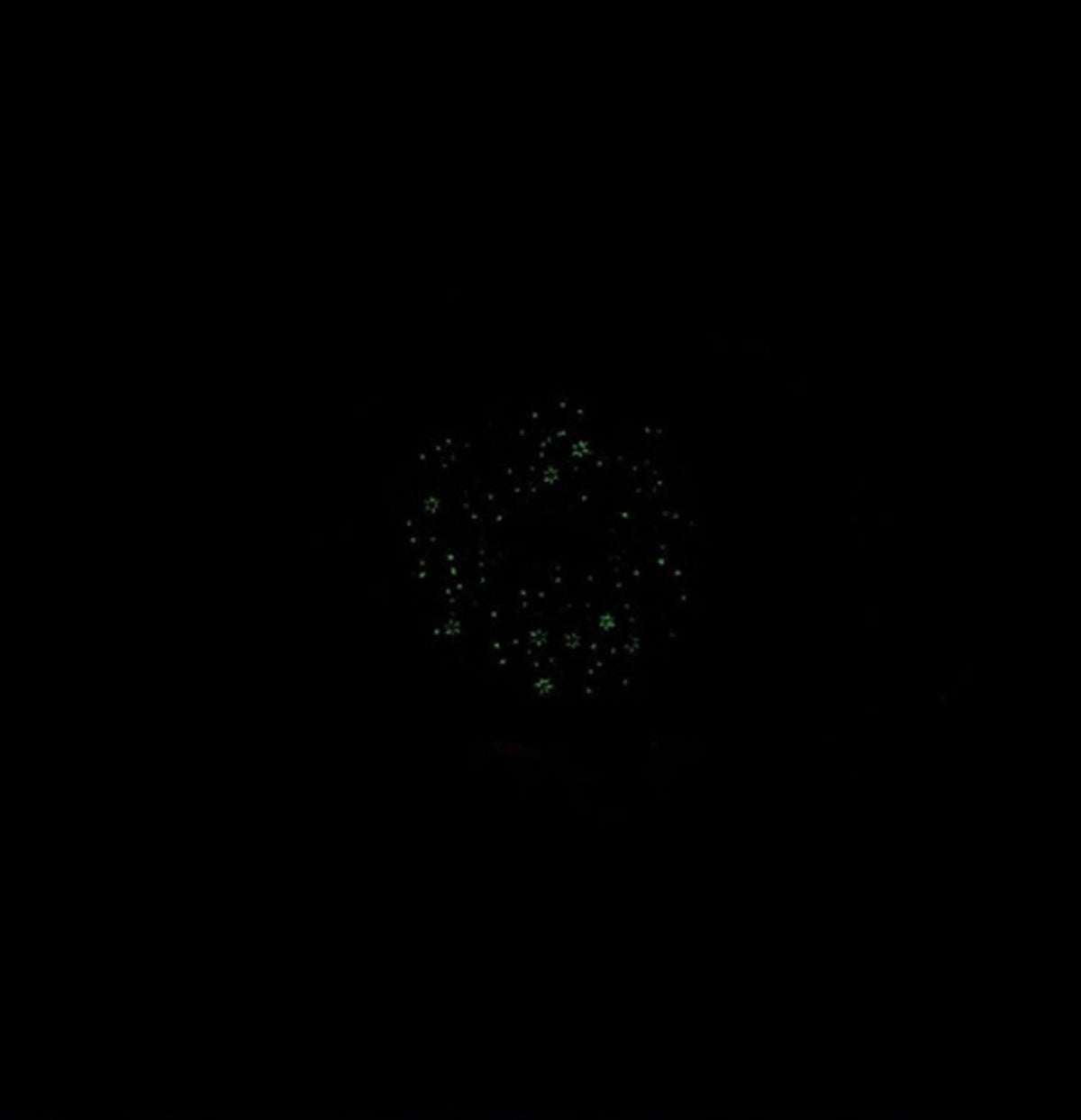 Black background with a cluster of small, green, sparkling dots.