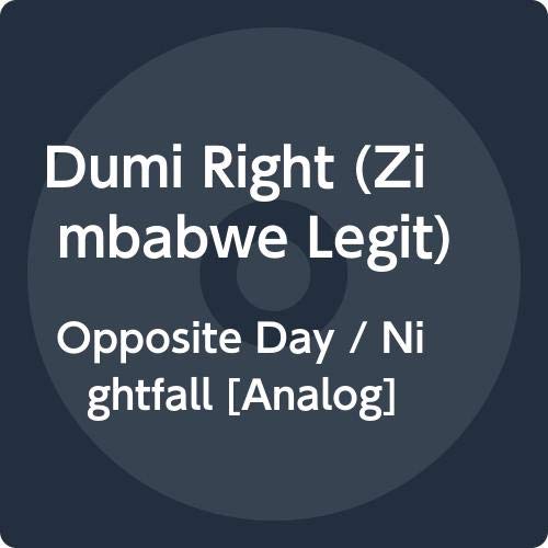 Dark blue vinyl record label with white text: "Dumi Right" and song titles.