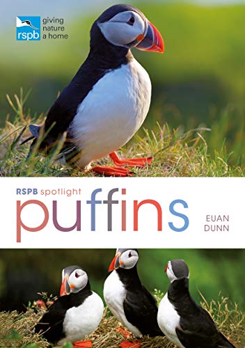 Book cover featuring a puffin above the title and three puffins below on grass.