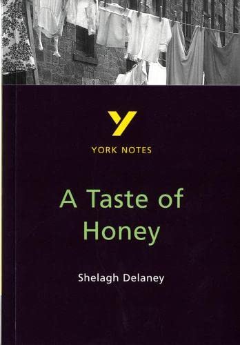 York Notes study guide cover for Shelagh Delaney’s “A Taste of Honey.”