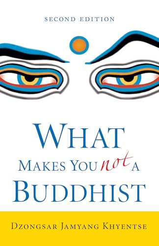 Book cover with stylized eyes and title “What Makes You Not a Buddhist.”