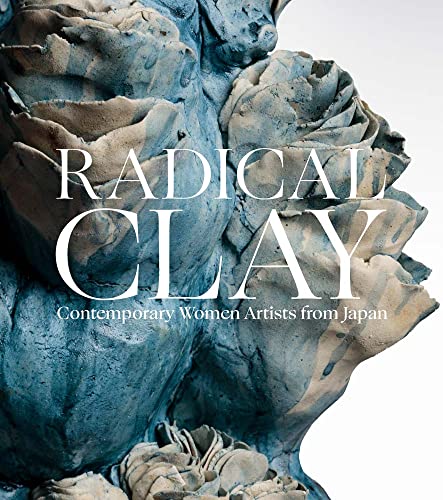 Book cover featuring a textured blue and cream ceramic sculpture with white title text.