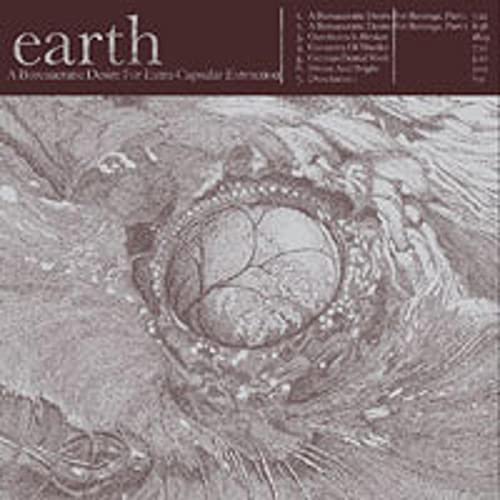 CD cover for "Earth" with a textured, grayscale image of a rocky landscape.