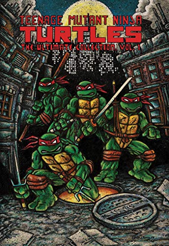 Teenage Mutant Ninja Turtles comic book cover with four turtles in a city.
