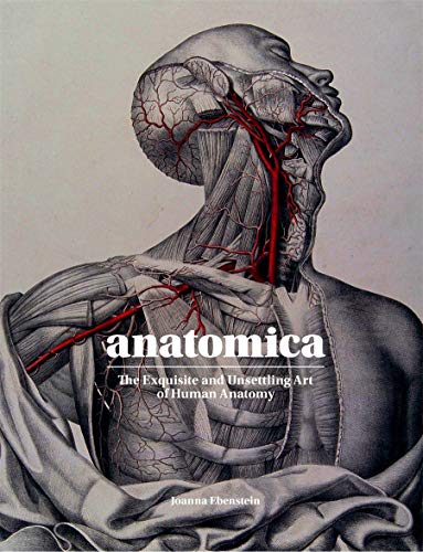 Detailed anatomical drawing of a human head and neck, with red veins.