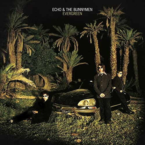 Album cover for Echo & The Bunnymen’s “Evergreen” featuring band members and palms.