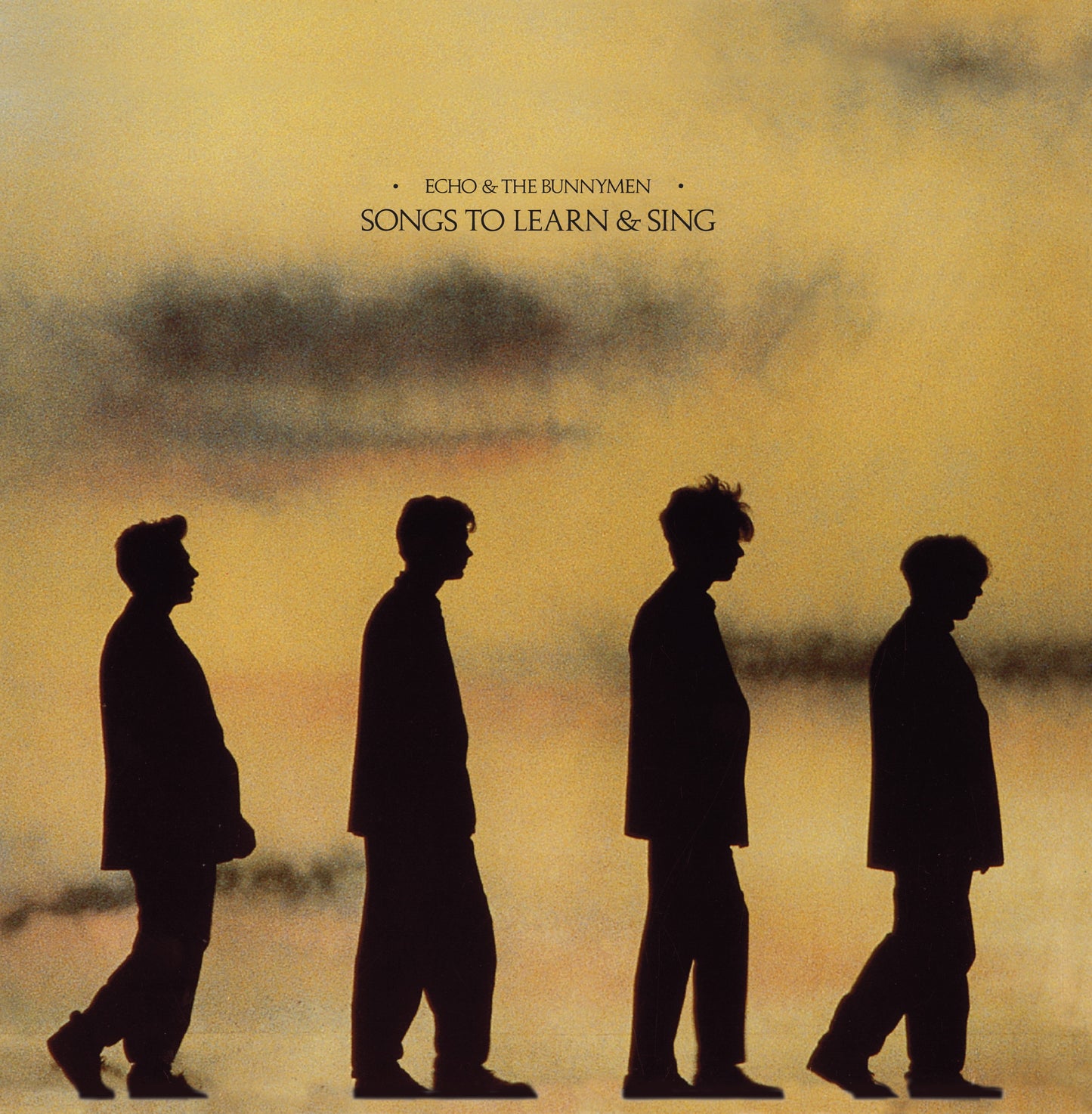 Echo & The Bunnymen - Songs To Learn & Sing (Marble) [VINYL]