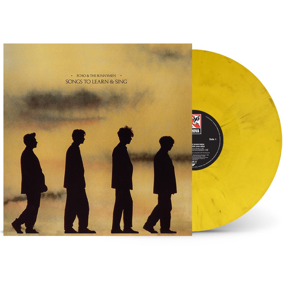 Echo and the Bunnymen vinyl record cover with a yellow and black marble disc.