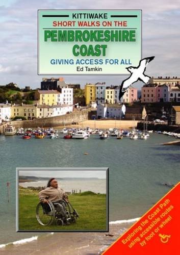 Book cover featuring a coastal town, boats, and a person in a wheelchair.