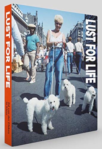 A woman walking three white poodles on a sunny street with people in background.