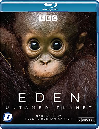 Blu-ray cover featuring a close-up of a baby orangutan with the title Eden.
