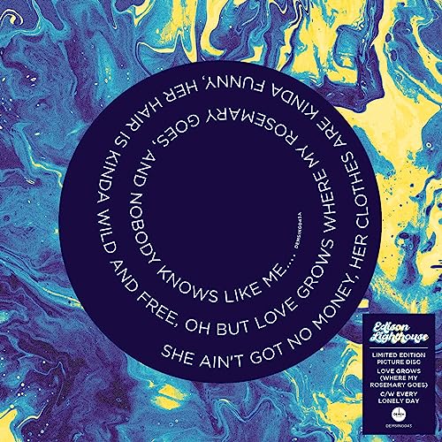 A 7-inch vinyl picture disc with lyrics onL printed on a dark purple center.