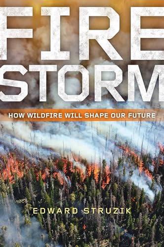 Book cover showing an aerial view of a forest fire with smoke and flames.