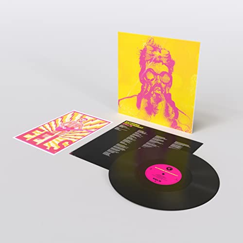 Eels "Extreme Witchcraft" vinyl record, cover with a person in a gas mask.