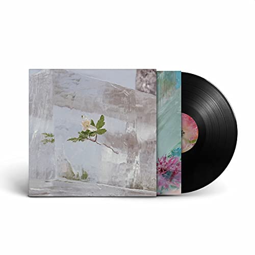 Efterklang “WINDFLOWERS” vinyl record with floral and abstract cover art.