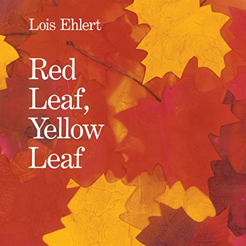 Book cover with red and yellow leaves, title "Red Leaf, Yellow Leaf".
