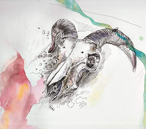 Watercolor painting of a ram skull with abstract red and teal washes.