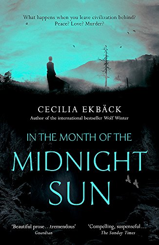Book cover: lone figure in a dark, mountainous landscape.