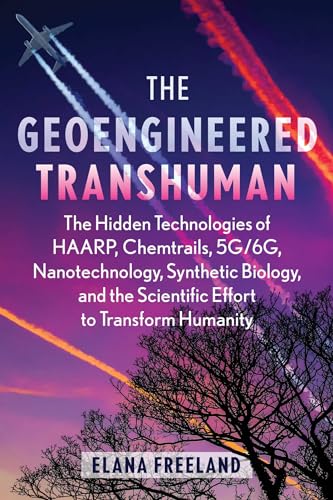 Book cover with airplane trails, red streaks, trees, and bold title text.