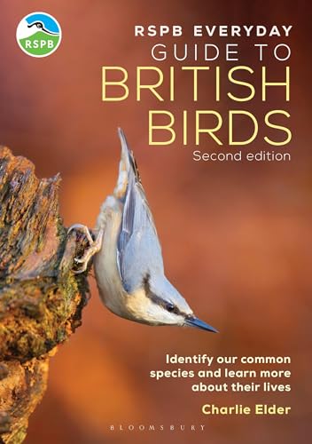 Book cover featuring a nuthatch clinging to tree bark, titled “RSPB Everyday Guide to British Birds”.